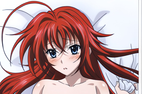 High School DxD - Rias Gremory dakimakura girlfriend body pillow cover